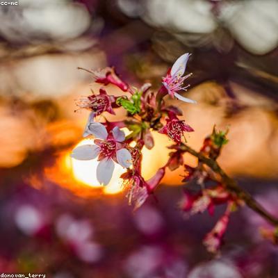 工业独特节能